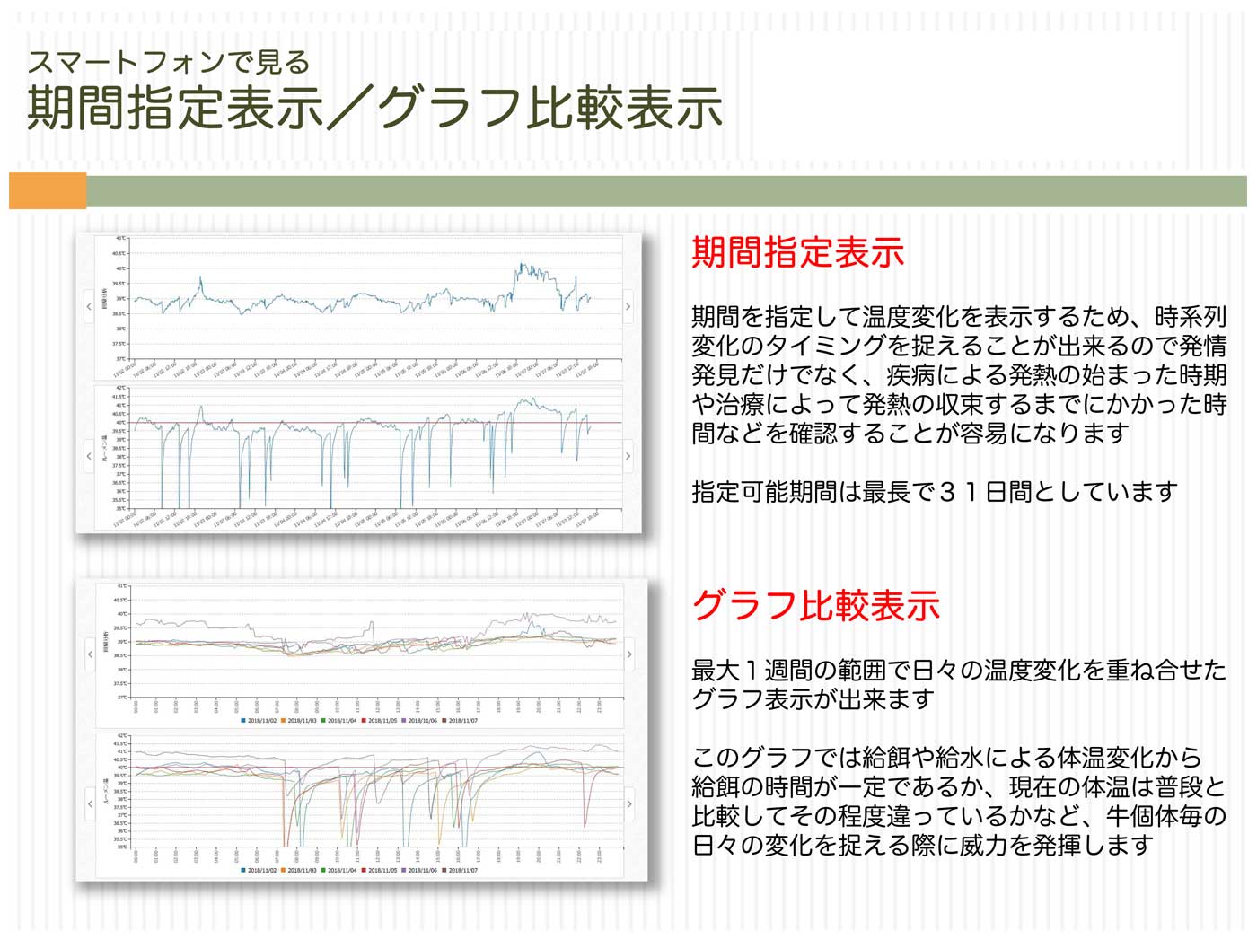 期間指定表示・グラフ比較
