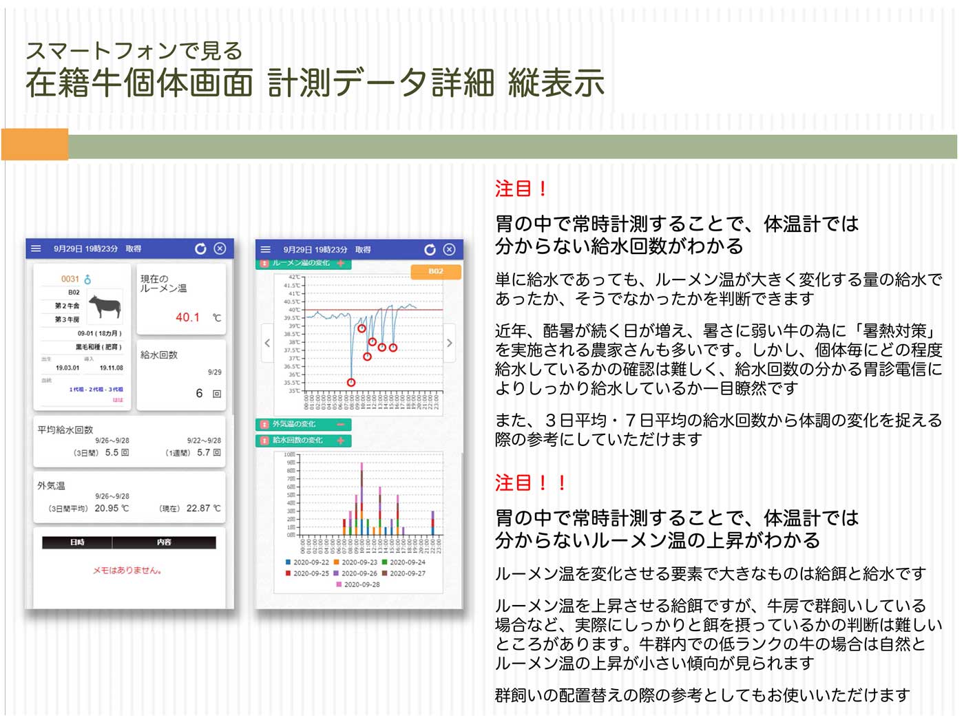 在籍牛個体画面　計測データ詳細