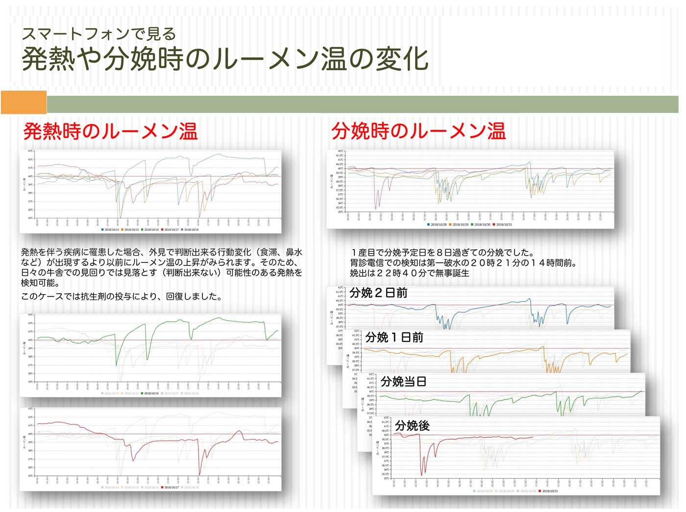 発熱や分娩時のルーメン温の変化